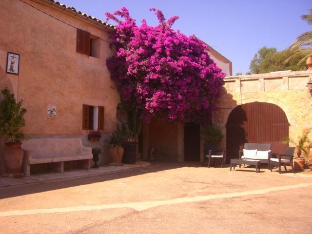 Finca Can Rotger Cas Concos Luaran gambar